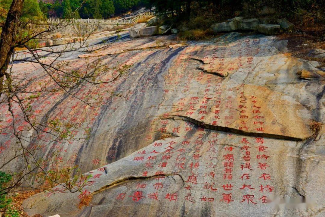 全民剧本大师内置菜单
